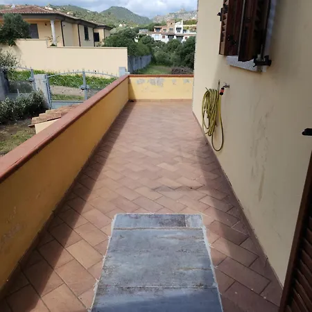 Apartment Casa Conchiglia Pittulongu *